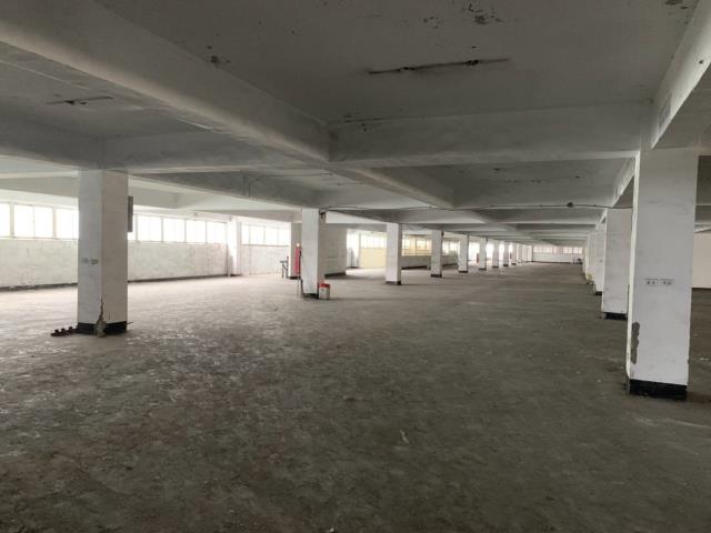 桃園市觀音區觀音產業園區